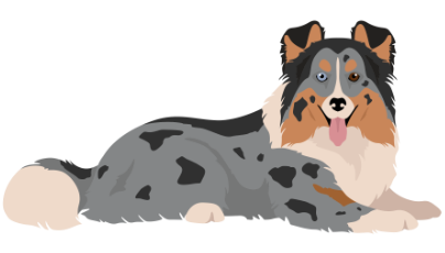 shayna mascotte