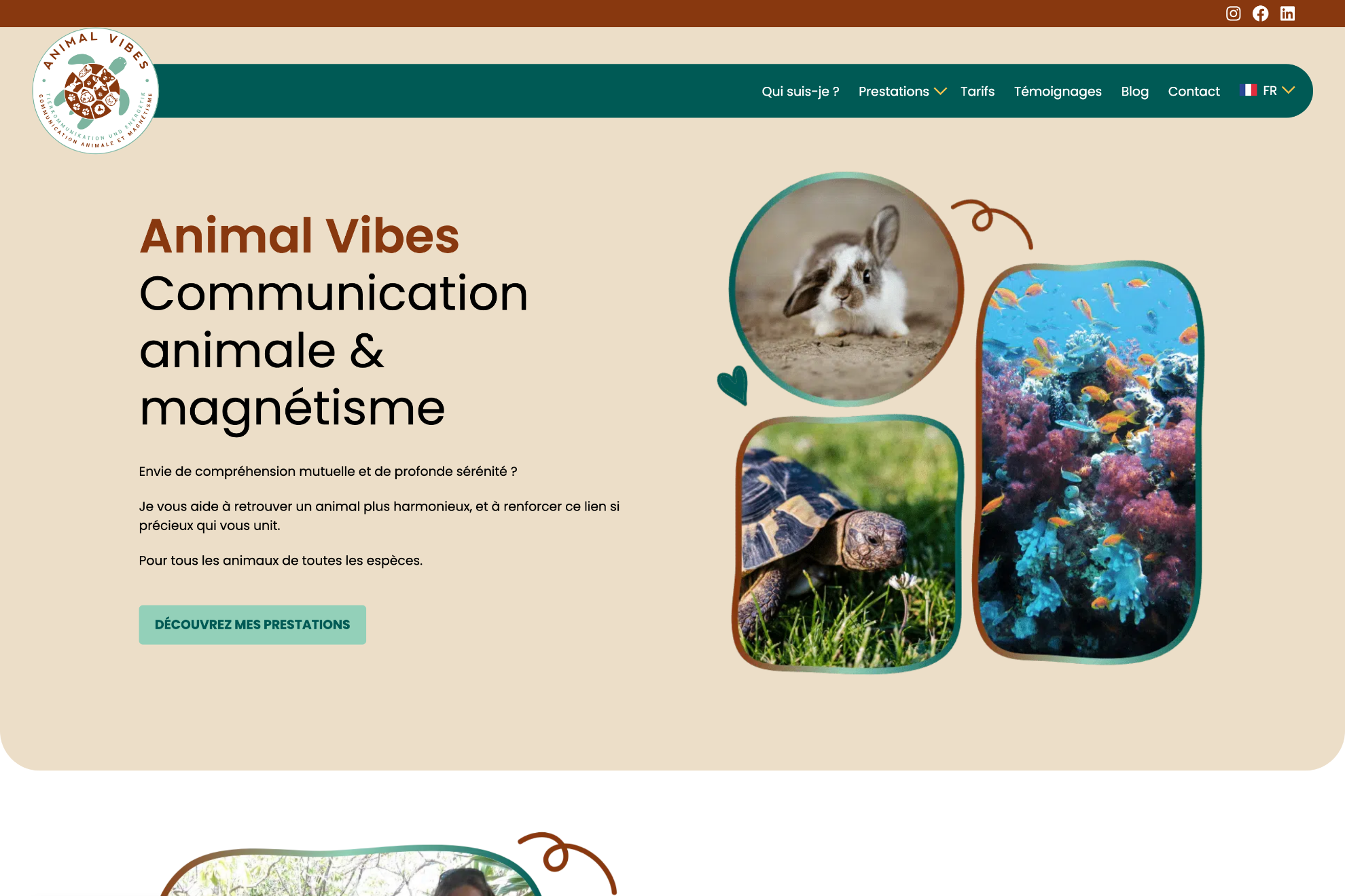 Animal Vibes