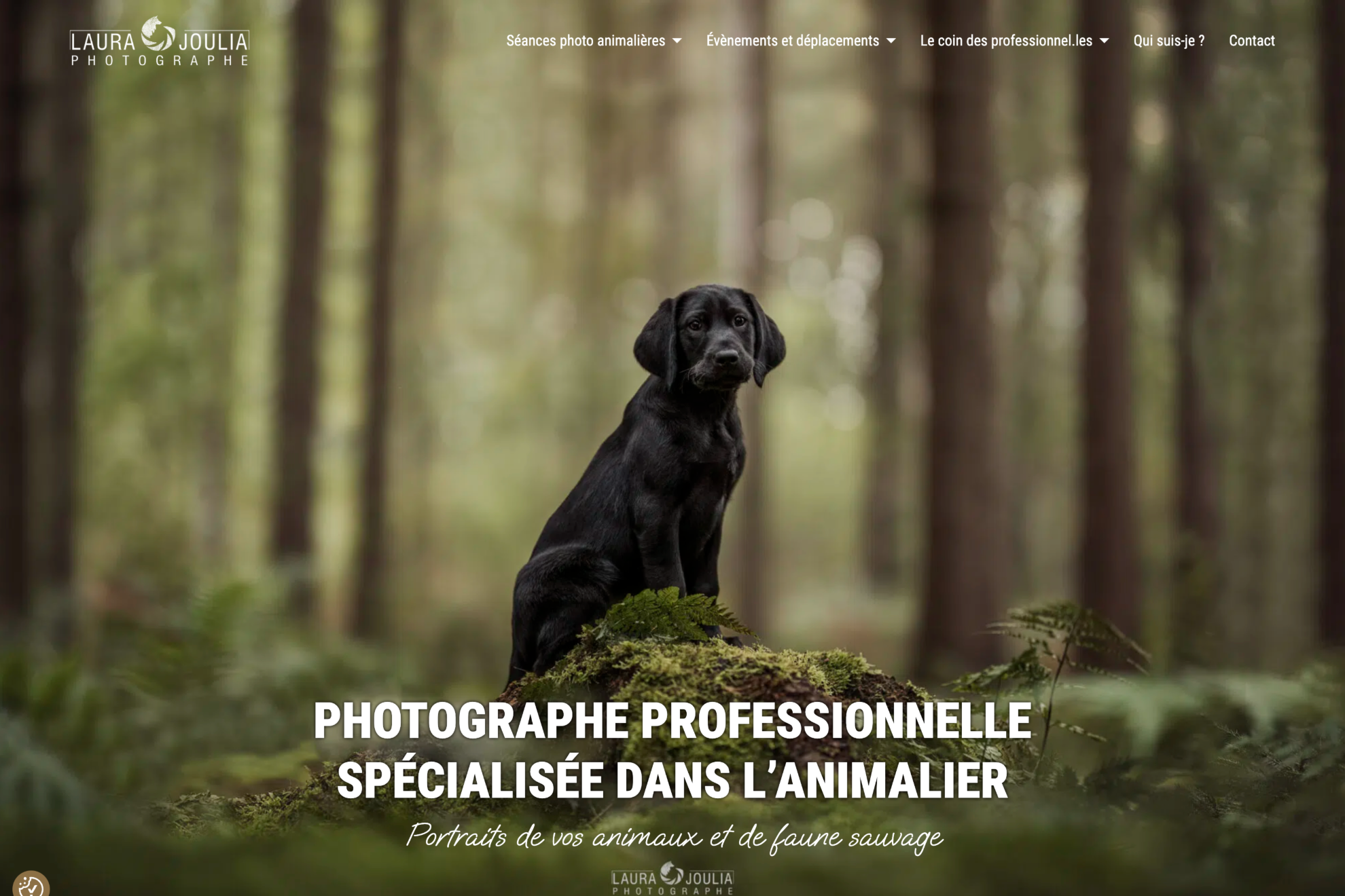 Laura Joulia Photographe