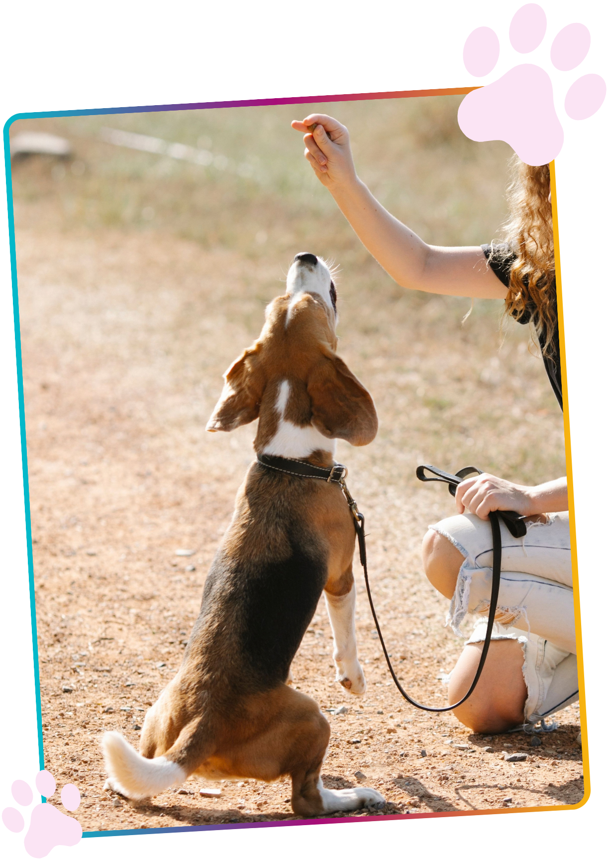 site educateur canin 1